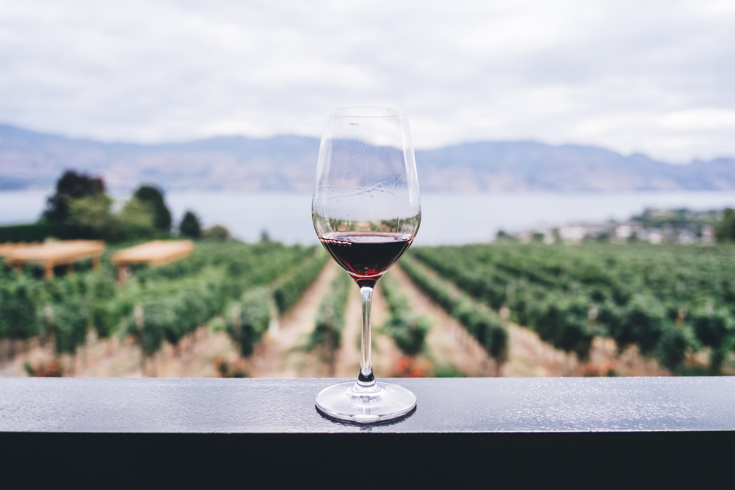 Toucher du vin, DGS, Sols et défauts du vin (Veille)