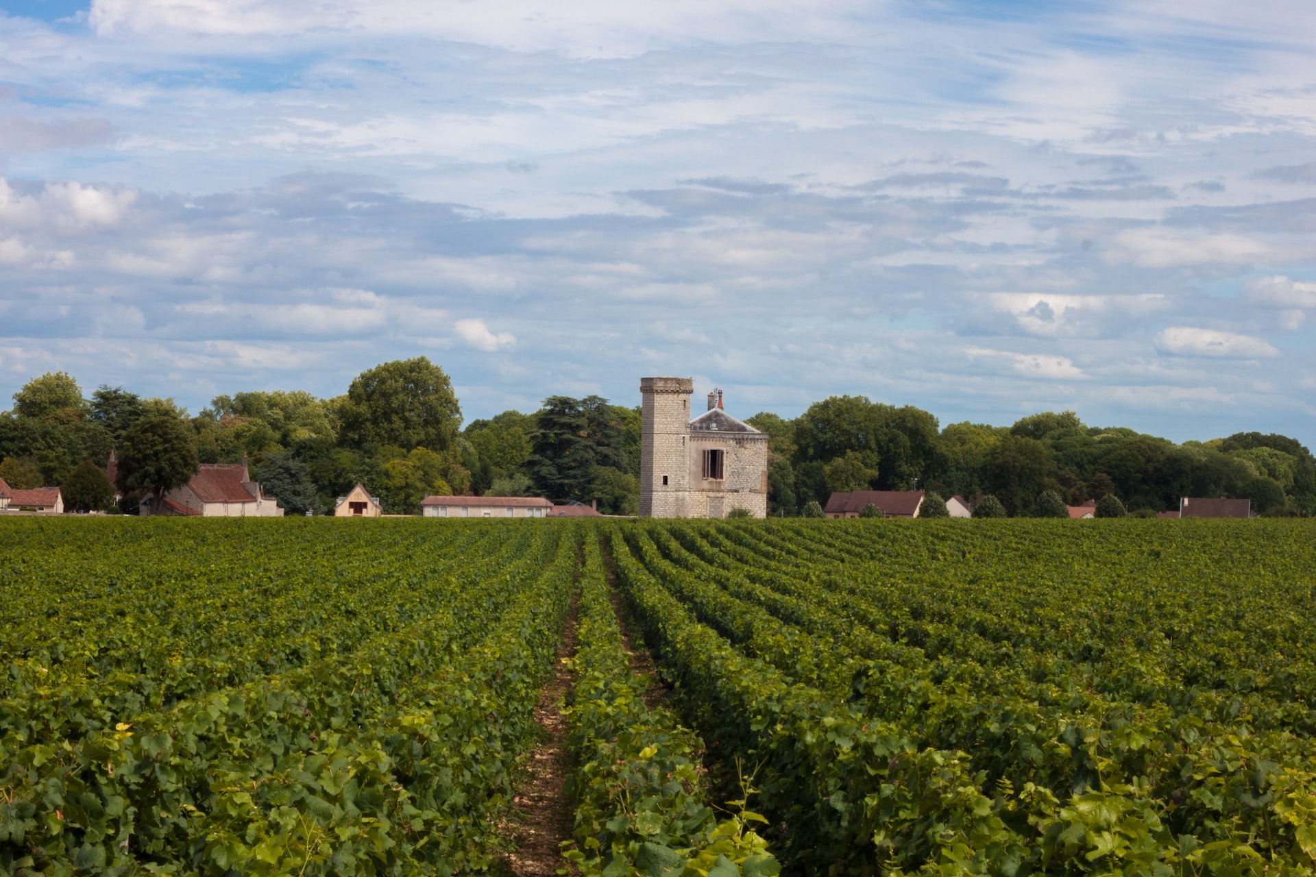 Bourgogne Présentiel
