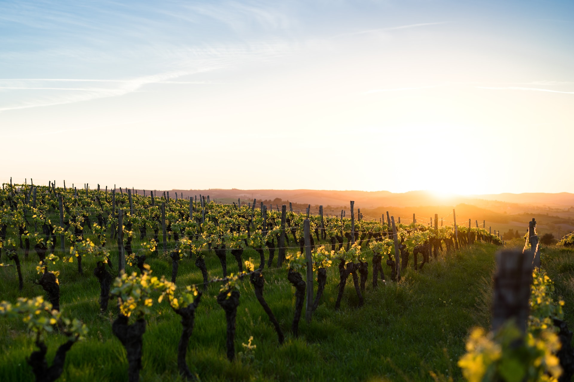 Rhône Distanciel