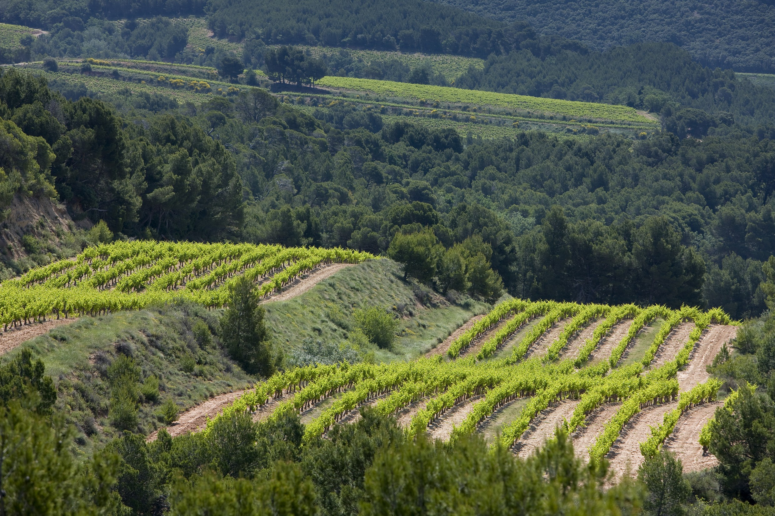 Rhône Présentiel