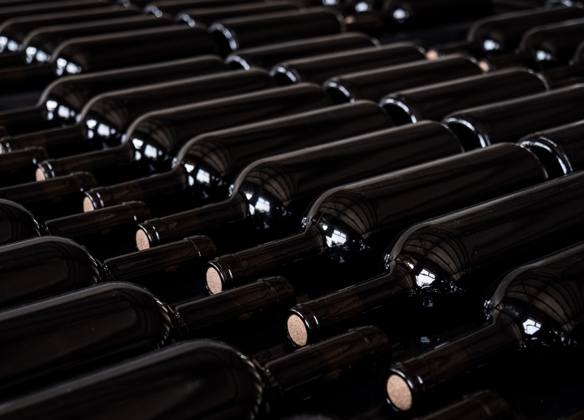 Vins du monde J2