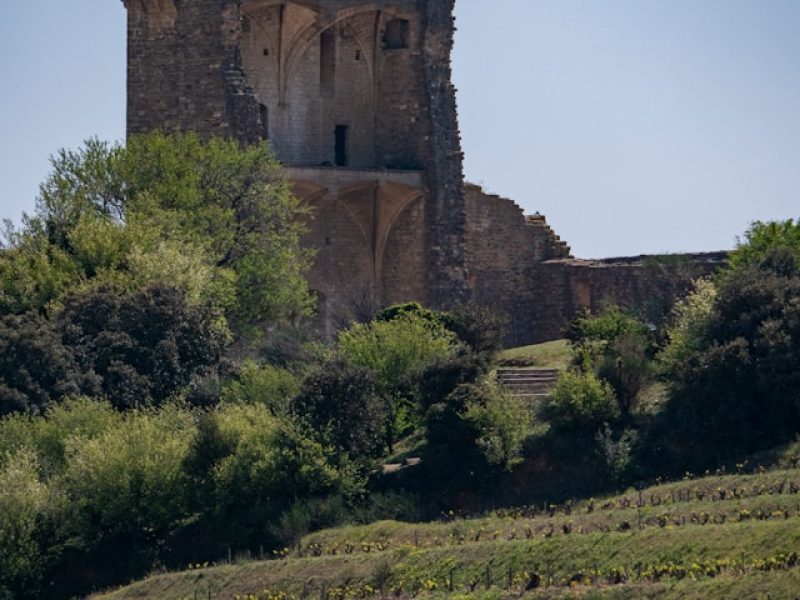 chateau9